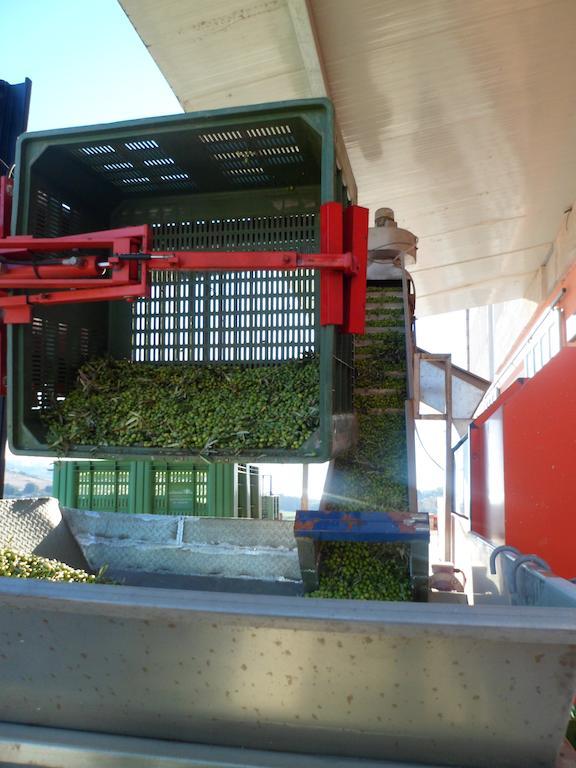 La Goccia D'Olio Ξενοδοχείο Sciacca Εξωτερικό φωτογραφία